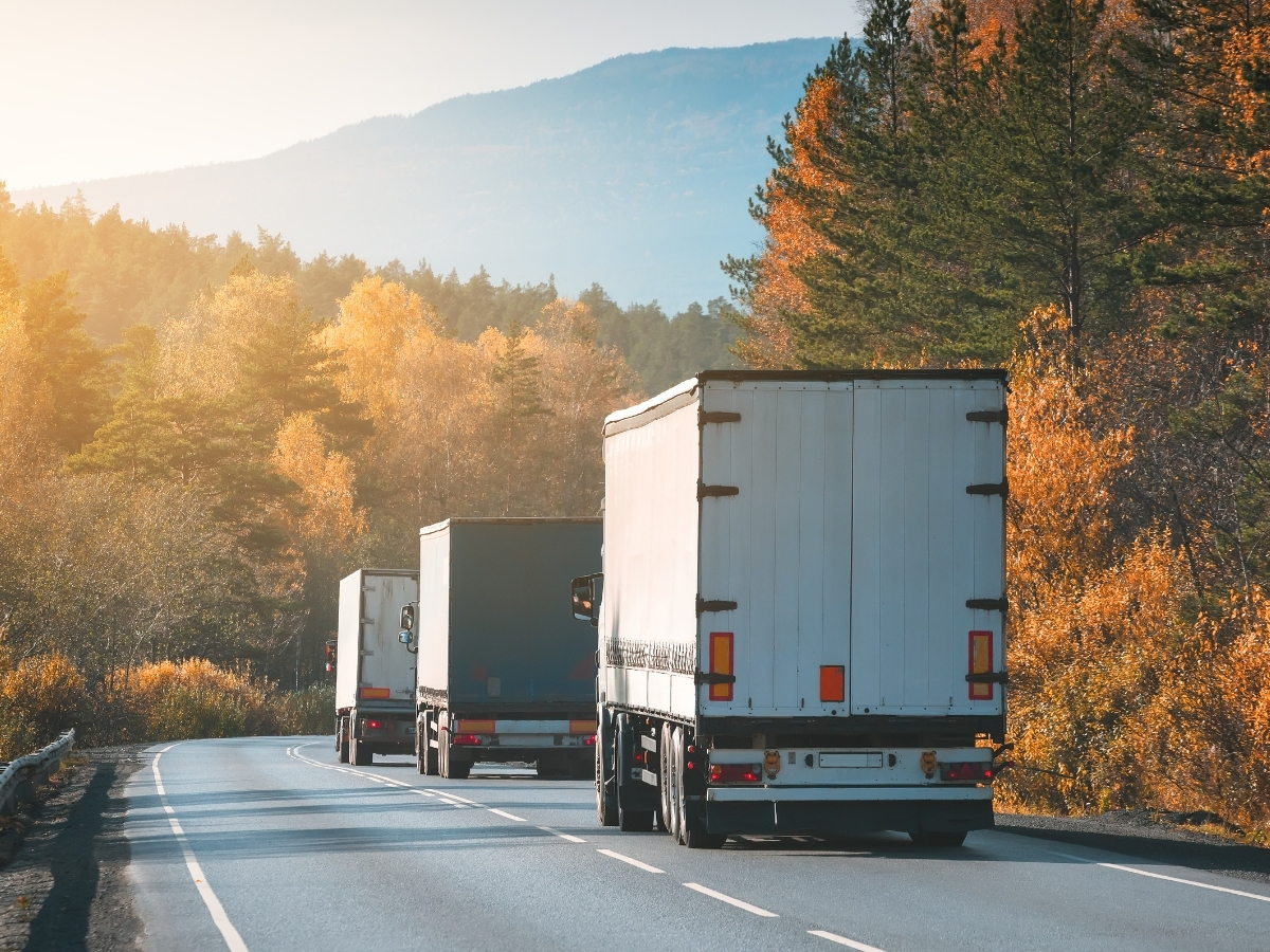 cross boarder freight image